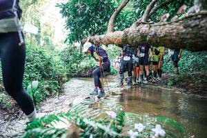 BIB: 
                            <button type="button" onclick="openModal(25473747)" class="btn btn-primary btn-sm float-right btn-popup" data-toggle="modal" data-target=".modal-high-quality">
                        <i class="fas fa-shopping-cart"></i> Add to Cart
                    </button>
                                            <button type="button" onclick="isThisMe(25473747, true)" class="btn btn-success btn-sm float-right btn-popup btn-isme hidden" data-toggle="tooltip" data-placement="bottom" title="นี่คือรูปของคุณใช่ไหม คลิกที่นี่เพื่อเอาเข้าอัลบั้ม">
                        <i class="fas fa-plus"></i> Add to album
                    </button>
                    <button type="button" onclick="isThisMe(25473747, false)" class="btn btn-warning btn-sm float-right btn-popup btn-isnotme hidden">
                        <i class="fas fa-ban"></i> Remove from album
                    </button>